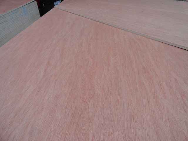 Click to view actual size<br>TitlePlywood Reads5885